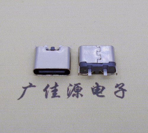 广州铆合式type c2p母座两脚插板尾部带卡扣