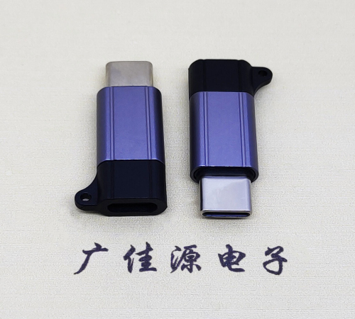 广州Type-C母转Type-C公 USB3.1 PD100W快冲接口